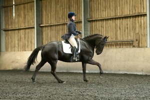 Isis Dressage Crown Farm Show 29th April 2012